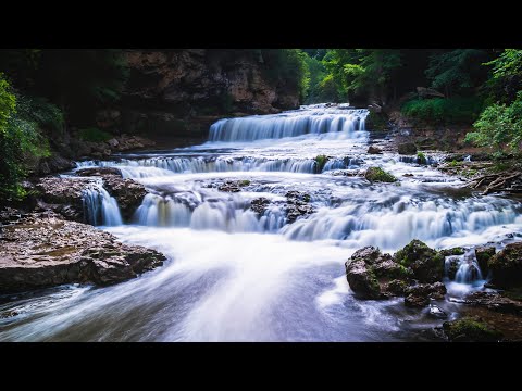 youtube embeded image