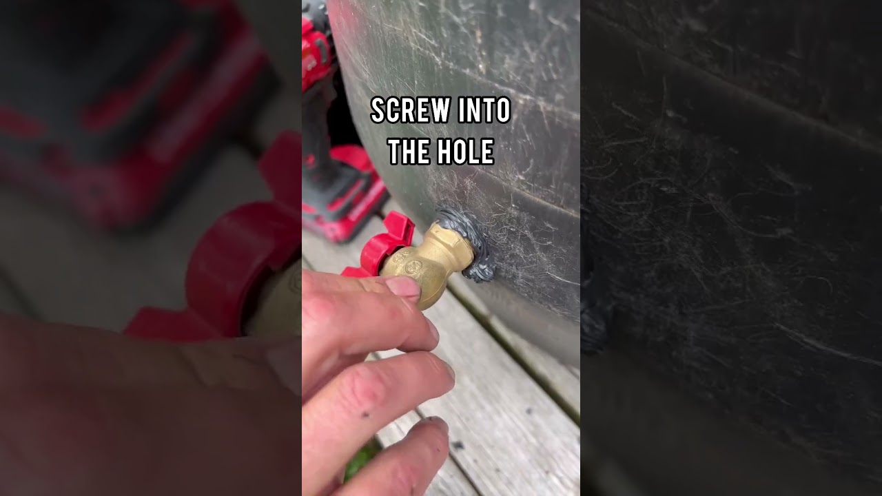 Easy diy rain barrel #shorts #gardentips #gardening #growingfood #rainbarrel #water #sustainability