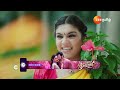 sembaruthi ep 2 webisode 03 dec 10 2024 agni shabanaa priya raman zee tamil