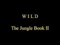 Wild Lyrics