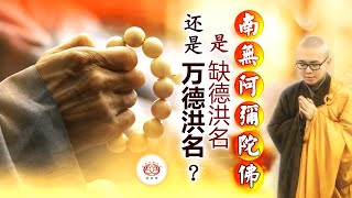 南無阿彌陀佛是“缺德洪名”还是“万德洪名”？ 👼 | 净本法师 主讲