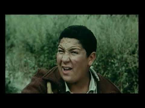 Le Gone Du Chaaba (Fellag)