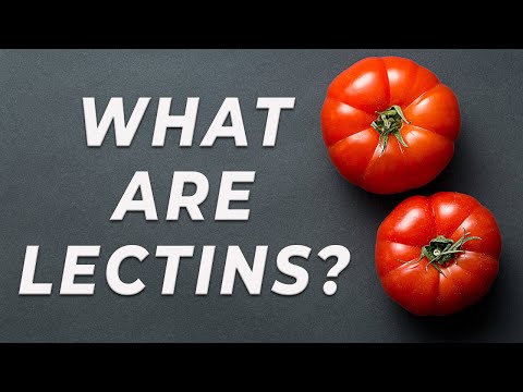 Lectins - What are they?