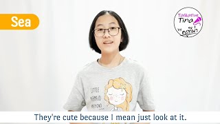 My Favorite Animal is the Turtle | English Public Speaking | Speech in English Sea โรงเรียนราชินีบน