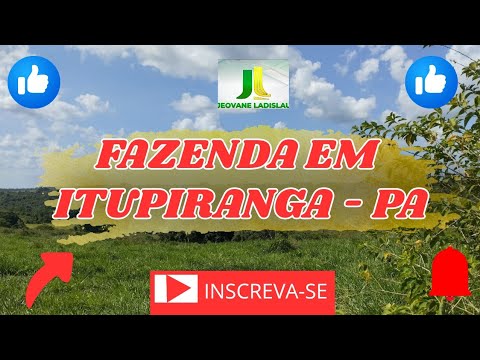FAZENDA EM ITUPIRANGA-PARA 