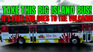 Everything You Need to Know about the Airport Bus in Hilo Hawaii!