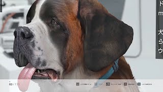優しく忠実で気高い《Detroit: Become Human.番外編2》
