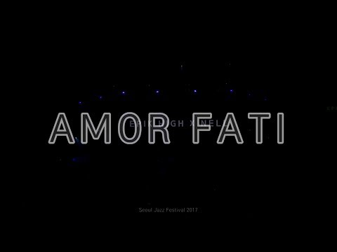 170528 에픽하이X넬(넬픽하이)  AMOR FATI @2017 서울재즈페스티벌