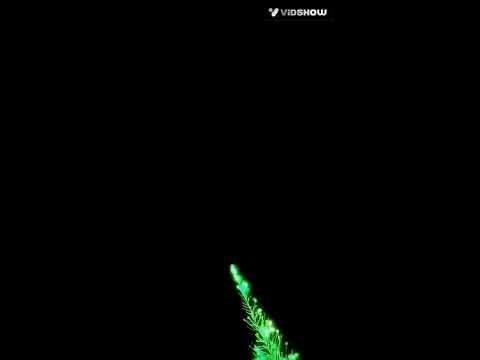 To Brazil! Ranjhe #trending #viral #youtubeshorts #shorts