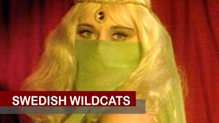 Trailer Preview Image