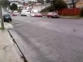 Seagull Parking