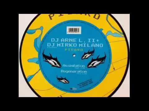 DJ Arne L. II & Mirko Milano - Assimilation [ CUT VERSION ]