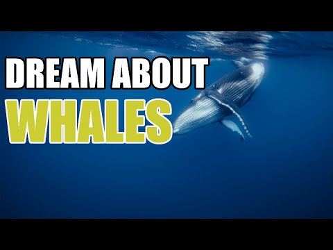 Dreams About Whales - What Whales Mean Culturally And In The Dream World - Sign Meaning