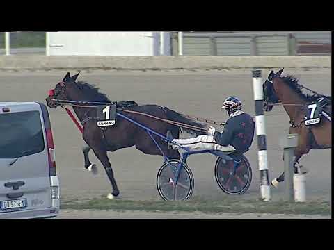 Napoli Trotto 12/02/2023 - 7ª corsa