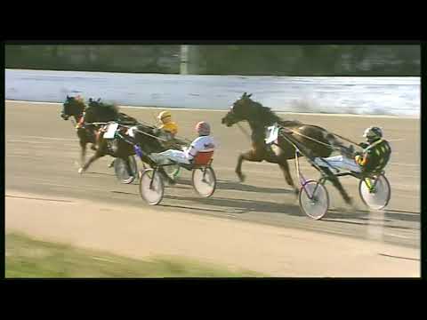 Trotto 14/02/2020 - 2ª corsa