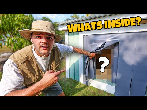 I Bought a NEW ANIMAL for My FARM!!