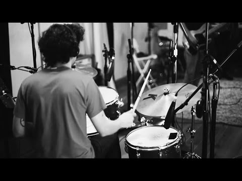 Monteavaro + Spheniscidae en Madrid