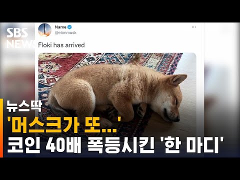 아이콘