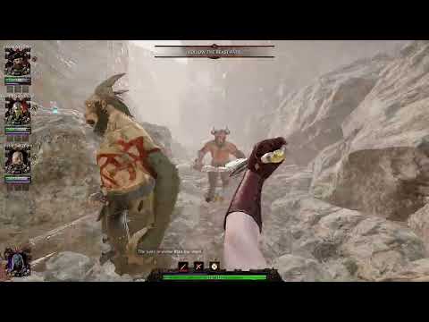 Vermintide 2: Darkomen solo Shade (w/bots) 4.6.4 꾸졌음