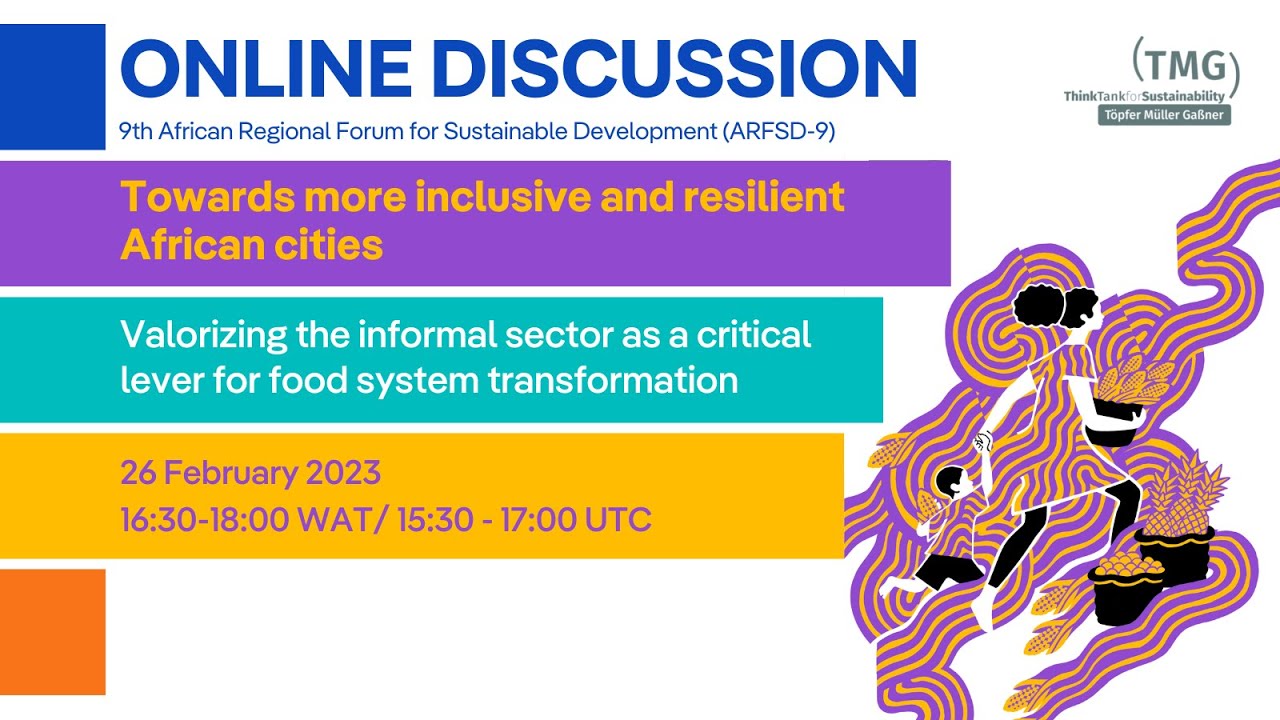 Towards more inclusive and resilient African cities