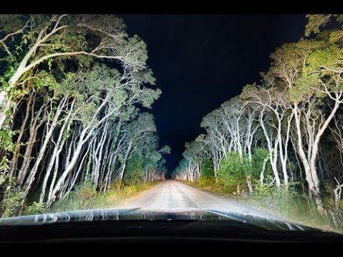 The Brightest LED Light Bar