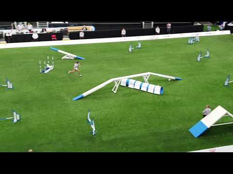 RIKA Ekaterina Sapriko Small Agility AWC 2019