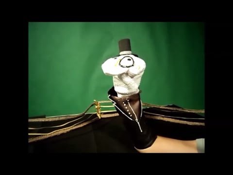 Batalha De Rap Científica (Em Inglês)