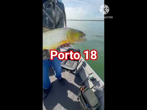 Tiago Ribeiro, R Paraná, Querência do Norte-PR, música escrita por mim com som de IA