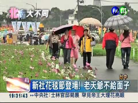 天公不作美!新社花毯節"朦朧美"