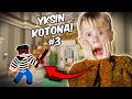 YKSIN KOTONA Minecraftissa 3