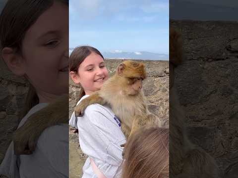 Chceme ji domů 🥹❤️❤️#nagyoski#gibraltar#