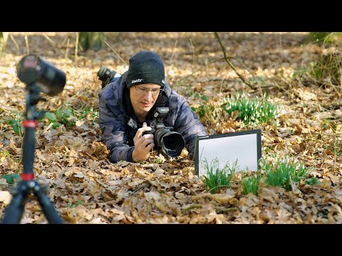 Einfach schöner BLITZEN 💥#5 Fotografieren lernen | entfesselt blitzen