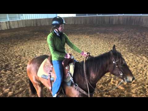 The Dark Side Of Fame starting colts first ride part 1