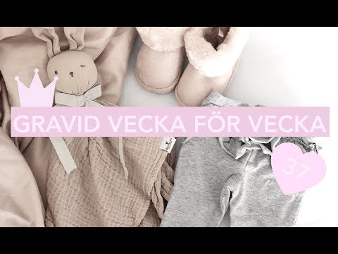 GRAVID VECKA FÖR VECKA: V.37