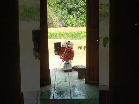 local da pescaria em Pauini Amazonas Brasil