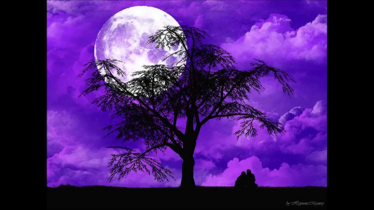 Jose Bohr - "Violetita"