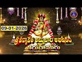 Sri Padmavathi Ammavari Abhishekam Tiruchanoor 09 01 2026 SVBC TTD