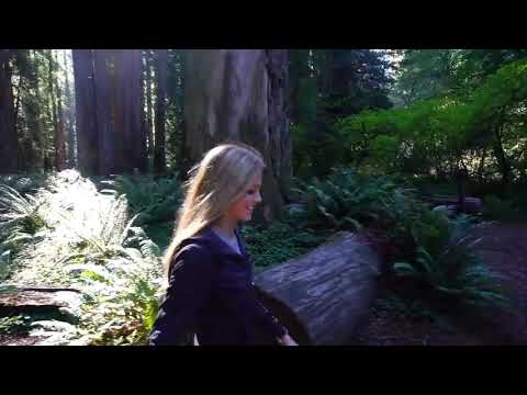 Top   100   Places   To   Visit   In The USA   4K Travel Guide