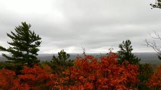 Autumn Love, Death Cab For Cutie music video