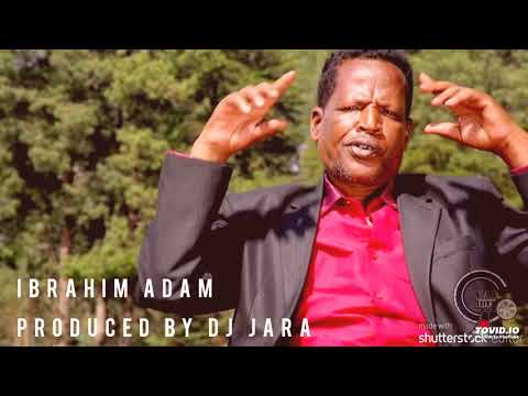 oromo music - Ibrahim Adam - haaya nagayatti official audio 2020