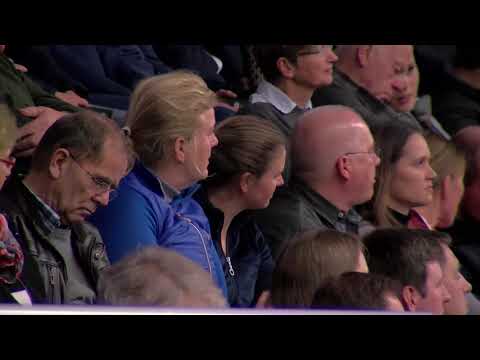 Sezuan's Donnerhall English 2020