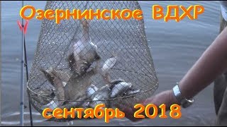 Ссылка