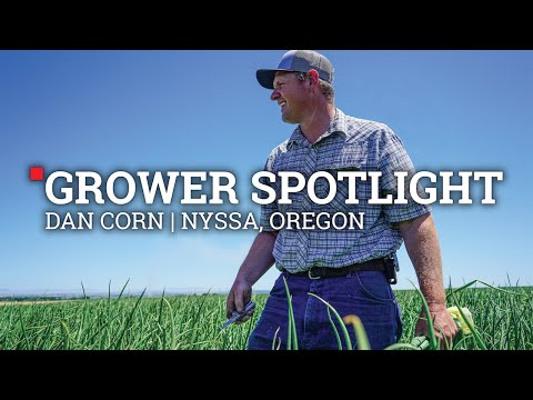 Grower Spotlight | Dan Corn