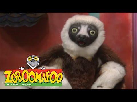 Zoboomafoo 213 - Can You Feel It? (Full Episode)
