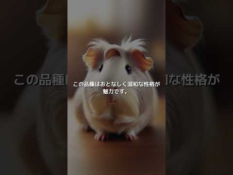 リルac(ライラック/セルフ)