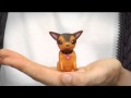 Wendy S Shake N Dog 2010 Ad
