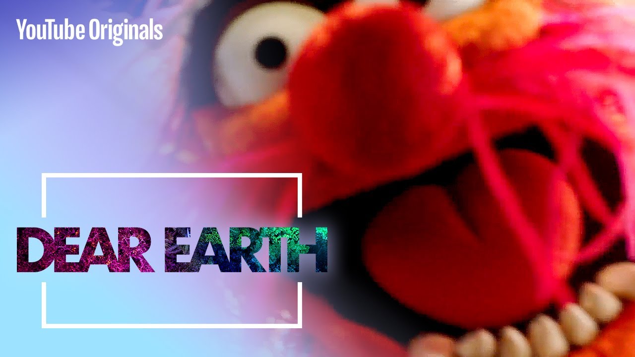 The Muppets Sing Mr. Blue Sky | Dear Earth - YouTube