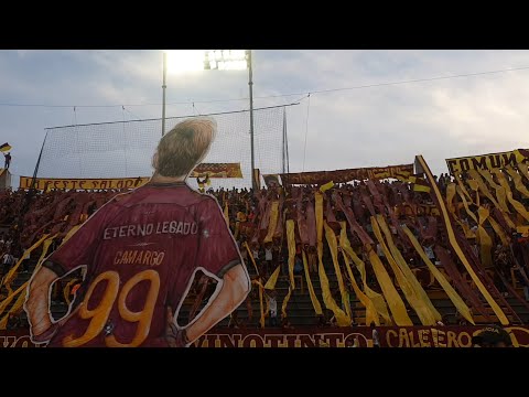 "Queremos la copa" Barra: Revolución Vinotinto Sur &bull; Club: Tolima