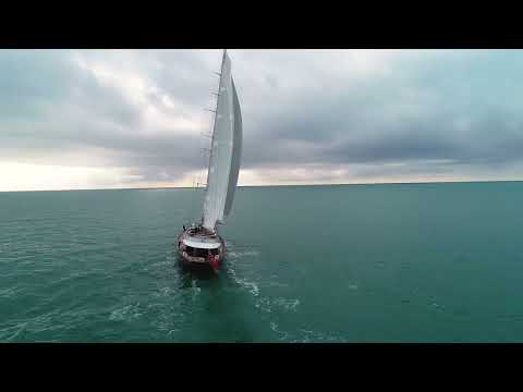 The Iconic Andromeda la Dea