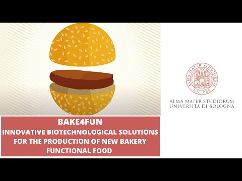 Bake4Fun – Innovative biotechnological solutions for the production of new bakery functional food